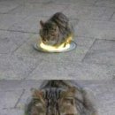 슈퍼맨 노래연습장 이미지