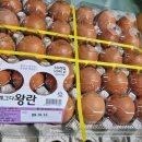 혜성축산 - 평택시 | 혜성축산