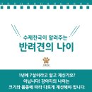 수제천국 이미지