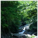 무지개펜션&캠핑민박 이미지