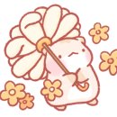 아지애견 이미지