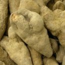 웨이트마스터GYM 이미지