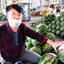 춘천농수산물도매시장 이미지