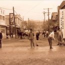 울산초등학교 이미지