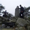 진자농장 이미지