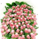 행복한 날 이미지