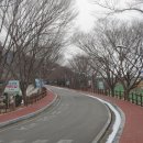 우슬체육관 이미지