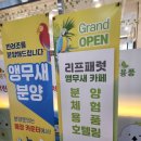 이마트24 성서신당점 | 산동 동물카페 추천 앵무새랑 놀고 분양까지 가능한 리프패럿 앵무새카페 체험 방문 후기 🦜