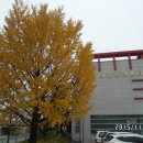 성주군 건강증진센터 이미지