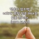 2026-08-08성 도미니코 사제 기념일＜믿음이 있으면 너희가 못할 일은 하나도 없을 것이다.＞ 이미지
