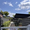 통나무집닭갈비남춘천점 이미지