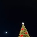 버디클럽 이미지