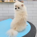 사동미장원 이미지