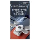 퍼펙트탄성