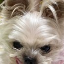 소연목장 이미지