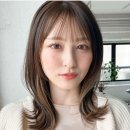엘리헤어 이미지