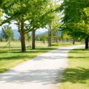 상일목장 이미지