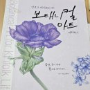 기초 보태니컬아트 기법 이미지