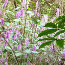 평화약수터 이미지