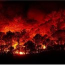 펜으로 그리는 세상 이미지