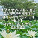 운전사가 염불하니,재앙이 사라지다 이미지