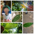 금오유치원 이미지