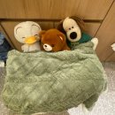 송산 | 화성 새솔동 맛집 추천! 육회바른연어 송산그린시티점 후기!