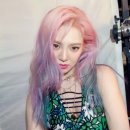 이영자헤어살롱 | [내돈내산] 로코헤어살롱 해운대점 유니콘염색후기/효연헤어