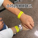 수목원파크 | 제주도 가볼만한곳 수목원테마파크 데이트 솔직후기