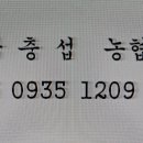 해바라기2 이미지