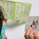 이개 누구개 이미지