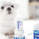 푸른신호약국 | 강아지 눈영양제 눈물자국 백내장 영양제