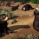 (주)플래닛 이미지