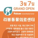 리봄동물의료센터 이미지