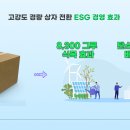 태림개발