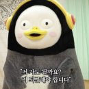 양양군 BMX경기장 | BMX일기_10월 한달의 기록 &amp; 올시즌 마지막공식경기(2019 양양군수배 BMX왕중왕전)