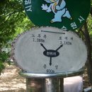 봉가지 이미지