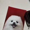 털찐친구들 이미지