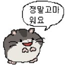 미림칼라 이미지
