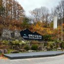 태백산목장 이미지