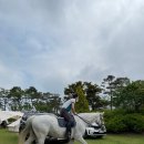 삼원당구장 이미지