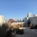 중산시스템 | 대구 소고기식당,중산식육식당 솔직 방문후기