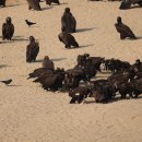 고령식당 이미지