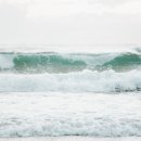 정기신한의원 이미지