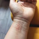 오관수의원 이미지