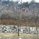 에이다르커피 | [전북 김제시] 모악산 캠핑파크- A8 사이트 후기 (2024년 2월 24~25일, 44번째 캠핑)
