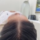 모피움청담 이미지