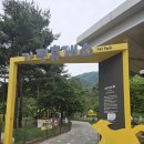 가평휴게소 애견놀이터 옐로우스탑, 반려견과 함께하는 행복한 휴식