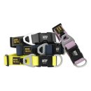 니즈더펫 이미지