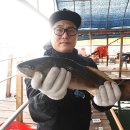 남용호좌대 이미지